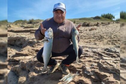 furor-por-la-anchoa-de-banco:-capturas-que-entusiasman-a-los-pescadores