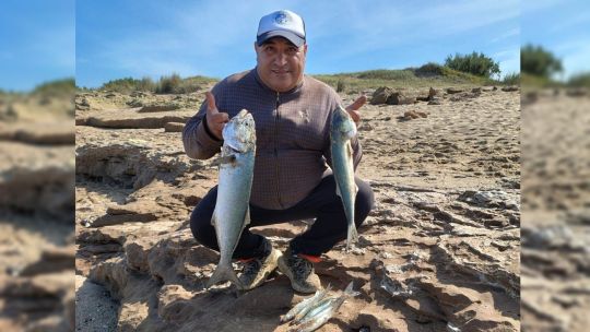 furor-por-la-anchoa-de-banco:-capturas-que-entusiasman-a-los-pescadores