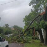 el-temporal-dejo-calles-anegadas-en-amba-y-hay-miles-de-usuarios-sin-luz