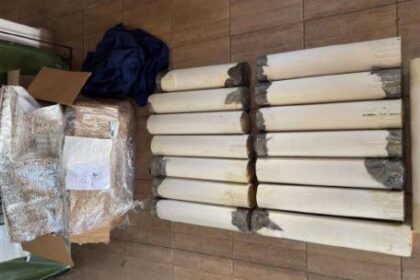 corrientes:-cayo-cuando-retiraba-15-kilos-de-marihuana-en-una-entrega-vigilada-de-gendarmeria