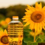 campana-de-girasol-en-auge:-“la-cadena-en-su-conjunto-respondio-aumentando-la-produccion-y-expandiendo-la-superficie”
