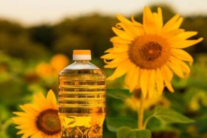 campana-de-girasol-en-auge:-“la-cadena-en-su-conjunto-respondio-aumentando-la-produccion-y-expandiendo-la-superficie”