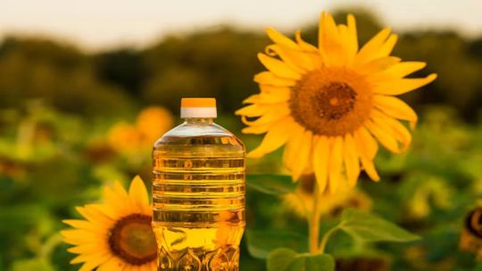 campana-de-girasol-en-auge:-“la-cadena-en-su-conjunto-respondio-aumentando-la-produccion-y-expandiendo-la-superficie”