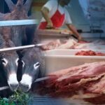 inesperado:-la-carne-de-burro-a-$7.500-gana-terreno-en-la-patagonia-y-marca-un-giro