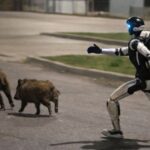 de-la-ciencia-ficcion-a-la-calle:-un-robot-humanoide-persiguio-jabalies-en-varsovia-y-se-volvio-viral