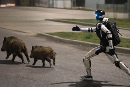 de-la-ciencia-ficcion-a-la-calle:-un-robot-humanoide-persiguio-jabalies-en-varsovia-y-se-volvio-viral