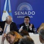 la-polemica-por-“la-carne-de-burro”-se-colo-en-un-aspero-debate-en-el-senado-por-el-proyecto-de-propiedad-privada