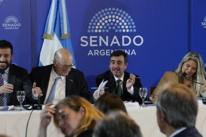 la-polemica-por-“la-carne-de-burro”-se-colo-en-un-aspero-debate-en-el-senado-por-el-proyecto-de-propiedad-privada