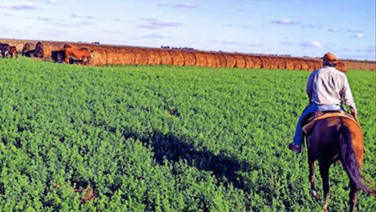 el-futuro-del-agronegocio-en-la-matriz-productiva-argentina