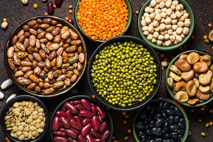 impulsan-un-programa-para-fomentar-la-produccion-de-proteina-vegetal-en-misiones:-la-iniciativa-busca-diversificar-la-matriz-productiva-y-agregar-valor-en-origen