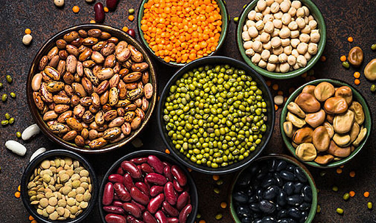 impulsan-un-programa-para-fomentar-la-produccion-de-proteina-vegetal-en-misiones:-la-iniciativa-busca-diversificar-la-matriz-productiva-y-agregar-valor-en-origen