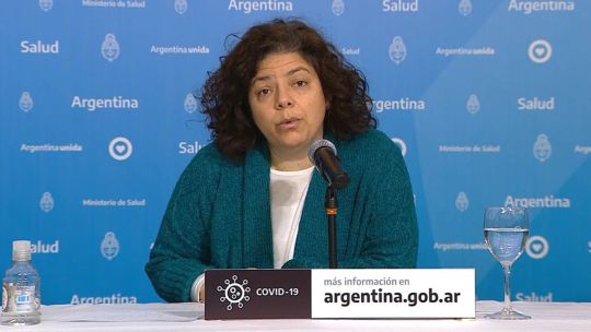 el-fiscal-stornelli-solicito-indagar-a-la-exministra-carla-vizzotti,-al-empresario-hugo-sigman-y-a-otras-figuras-por-las-vacunas-del-covid
