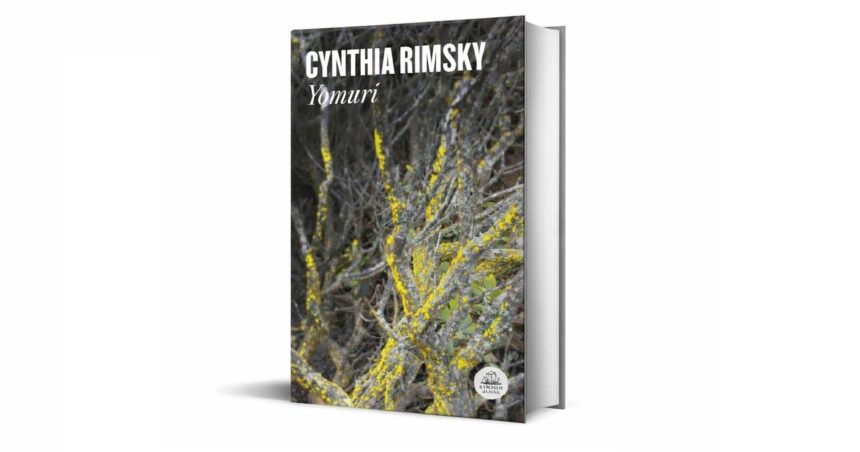 ‘yomuri’,-de-cynthia-rimsky:-un-viaje-delirante-que-explora-familia,-politica-e-identidad