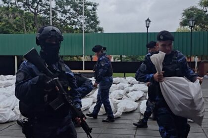 decomisaron-y-enviaron-a-destruir-mas-de-2300-armas-utilizadas-en-hechos-delictivos-en-misiones