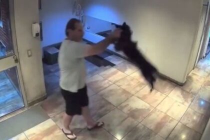 agarro-a-un-perro-del-cuello-y-lo-revoleo-contra-el-piso-en-palermo:-quedo-detenido
