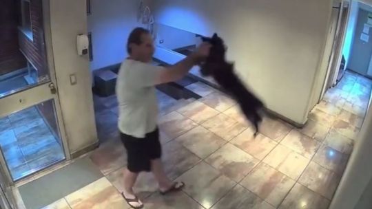agarro-a-un-perro-del-cuello-y-lo-revoleo-contra-el-piso-en-palermo:-quedo-detenido