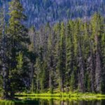 mas-alla-de-la-foto:-guia-esencial-para-visitar-nuestros-parques-nacionales-de-forma-sustentable