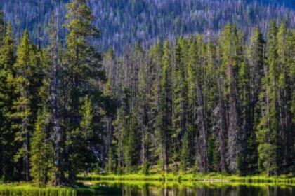 mas-alla-de-la-foto:-guia-esencial-para-visitar-nuestros-parques-nacionales-de-forma-sustentable