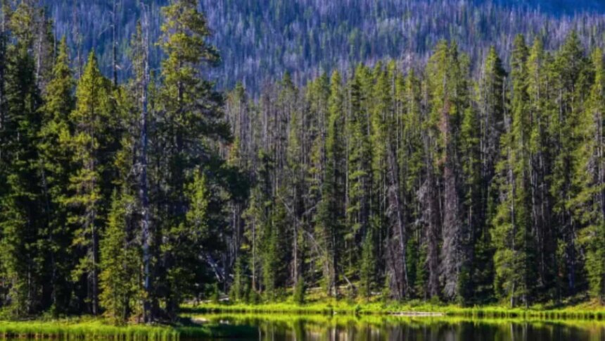 mas-alla-de-la-foto:-guia-esencial-para-visitar-nuestros-parques-nacionales-de-forma-sustentable