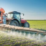 denuncian-extorsion-de-transportistas-y-alertan-por-el-freno-a-las-exportaciones-del-agro