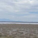 mendoza-avanza-con-su-primer-proyecto-de-exploracion-de-litio-y-lo-envia-a-la-legislatura-para-su-aprobacion