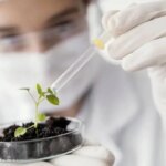 nanotecnologia-contra-el-clima:-como-un-bioestimulante-desarrollado-por-el-conicet-blinda-los-cultivos