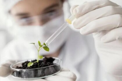 nanotecnologia-contra-el-clima:-como-un-bioestimulante-desarrollado-por-el-conicet-blinda-los-cultivos