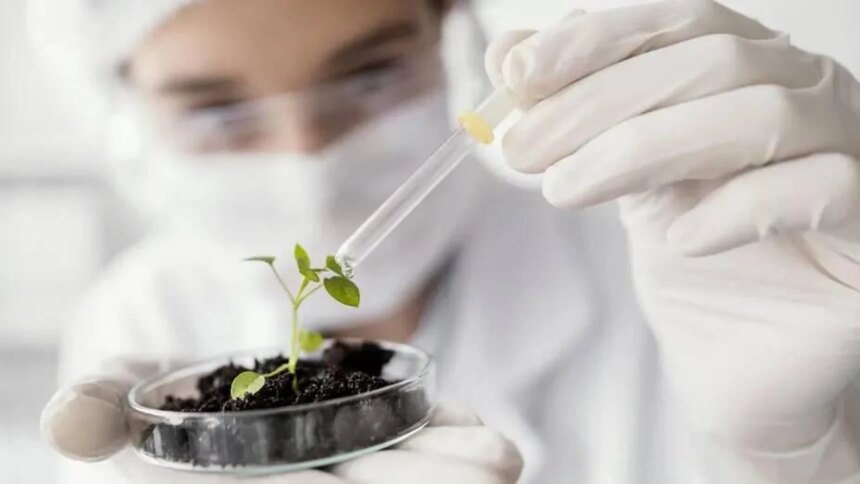 nanotecnologia-contra-el-clima:-como-un-bioestimulante-desarrollado-por-el-conicet-blinda-los-cultivos