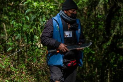 au-mexique,-199defenseurs-de-lenvironnement-ont-ete-suicides-en-dix-ans
