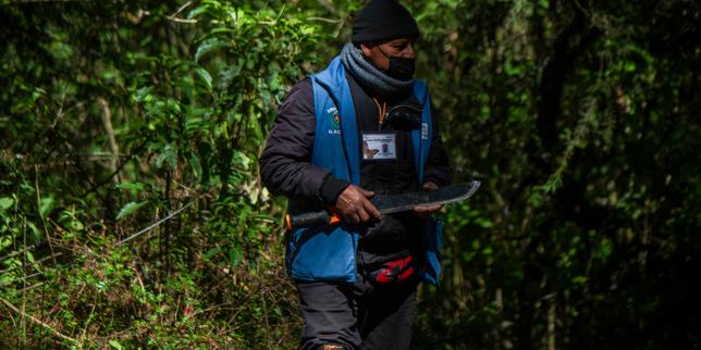 au-mexique,-199defenseurs-de-lenvironnement-ont-ete-suicides-en-dix-ans