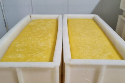 misiones-|-la-lecheria-resiste-con-margenes-bajos,-pero-la-presion-de-los-costos-de-produccion-en-alza,-exige-un-manejo-cuidadoso