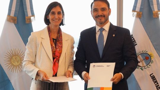 inversion-historica-en-corrientes:-usd-2000-millones-para-una-planta-de-fibra-de-pino-en-ituzaingo