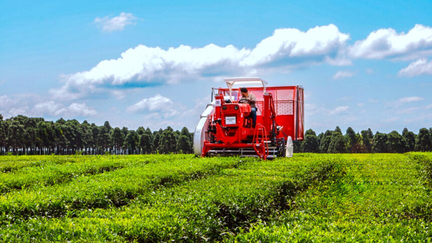 la-cadena-tealera-afronta-un-panorama-adverso-por-el-retraso-de-nacion-en-la-devolucion-del-iva-y-la-feroz-competencia-global:-“nos-esta-espantando”