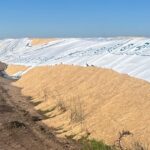 volvio-el-vandalismo-rural:-en-bahia-blanca-rompieron-5-silobolsas-con-mercaderia-por-$300-millones