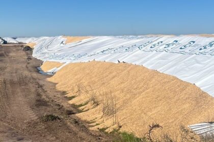 volvio-el-vandalismo-rural:-en-bahia-blanca-rompieron-5-silobolsas-con-mercaderia-por-$300-millones