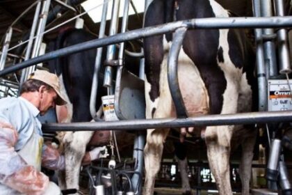 el-sector-lacteo-en-alerta:-por-que-no-logran-trasladar-la-inflacion-a-precios
