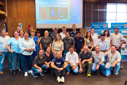 vigilancia-fitosanitaria:-misiones-reunio-a-expertos-de-6-provincias-para-anticipar-plagas-en-el-cultivo-de-banano