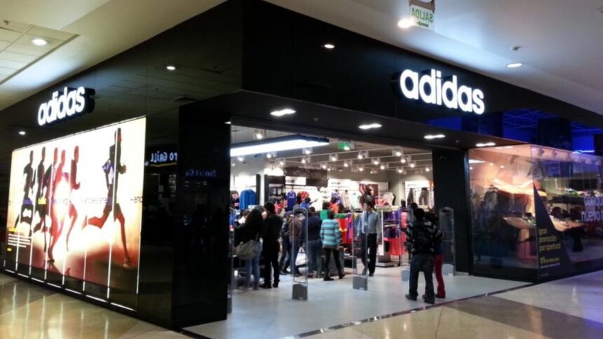 apertura-comercial:-brecha-entre-costos-de-importacion-y-precios-de-venta,-clave-en-los-margenes-de-grandes-empresas