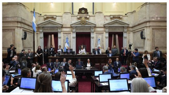 el-gobierno-envio-al-senado-las-reformas-a-las-leyes-de-discapacidad-y-salud-mental