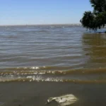 cloacas-a-cielo-abierto:-el-riesgo-sanitario-invisible-en-las-costas-de-la-plata