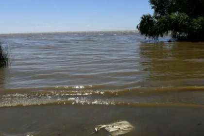 cloacas-a-cielo-abierto:-el-riesgo-sanitario-invisible-en-las-costas-de-la-plata
