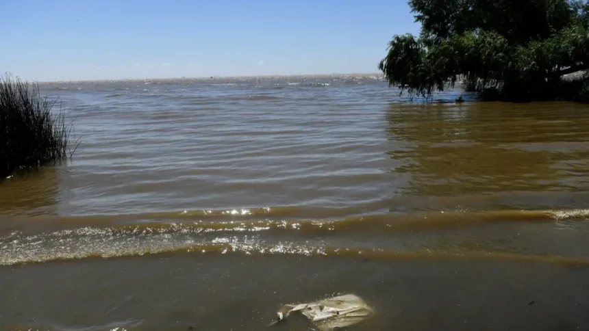 cloacas-a-cielo-abierto:-el-riesgo-sanitario-invisible-en-las-costas-de-la-plata