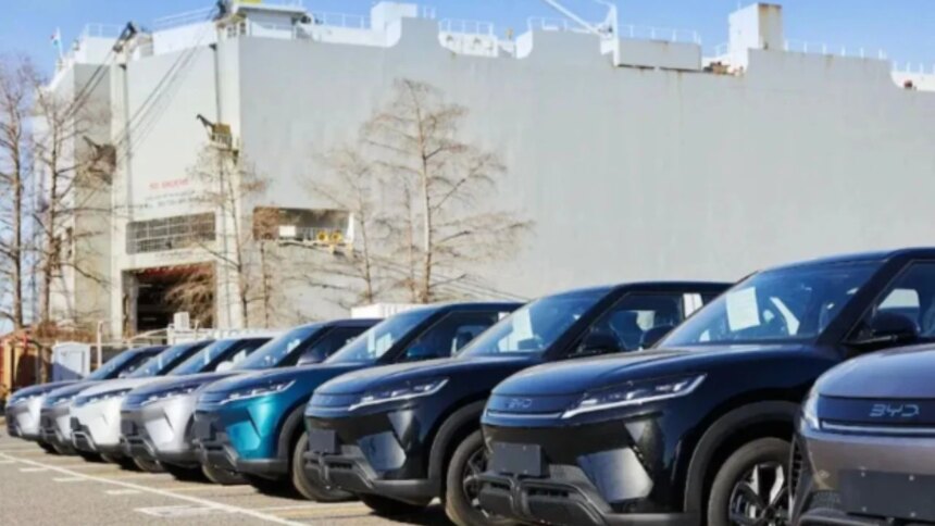 byd-lanza-una-advertencia-en-plena-fiebre-argentina-por-los-autos-chinos