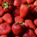 frutillas-bajo-sospecha:-advierten-que-el-99%-contiene-residuos-de-pesticidas