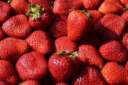 frutillas-bajo-sospecha:-advierten-que-el-99%-contiene-residuos-de-pesticidas