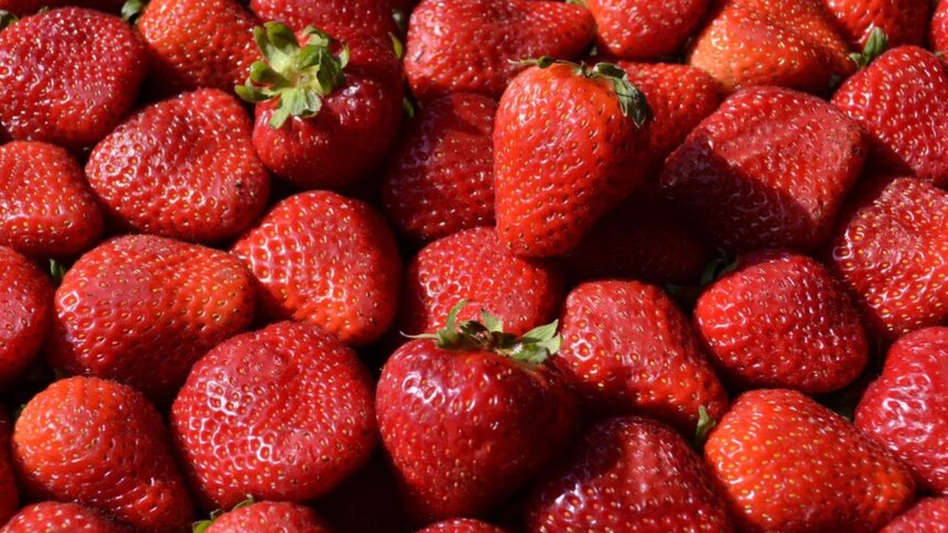 frutillas-bajo-sospecha:-advierten-que-el-99%-contiene-residuos-de-pesticidas
