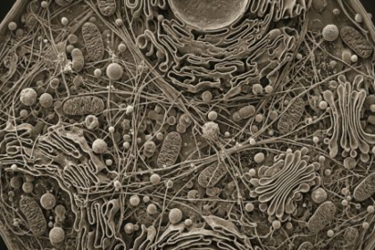 nanoenzimas-y-origen-de-la-vida:-la-nueva-hipotesis