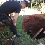 tras-un-alerta-vecinal-la-policia-salvo-a-un-perro-que-habia-caido-en-un-pozo-en-obera