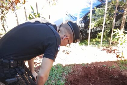 tras-un-alerta-vecinal-la-policia-salvo-a-un-perro-que-habia-caido-en-un-pozo-en-obera