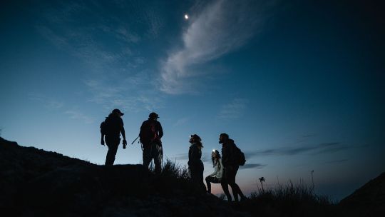 bioluminiscencia-en-el-mar-y-arribo-de-tortugas:-dos-de-las-experiencias-nocturnas-que-ofrece-panama